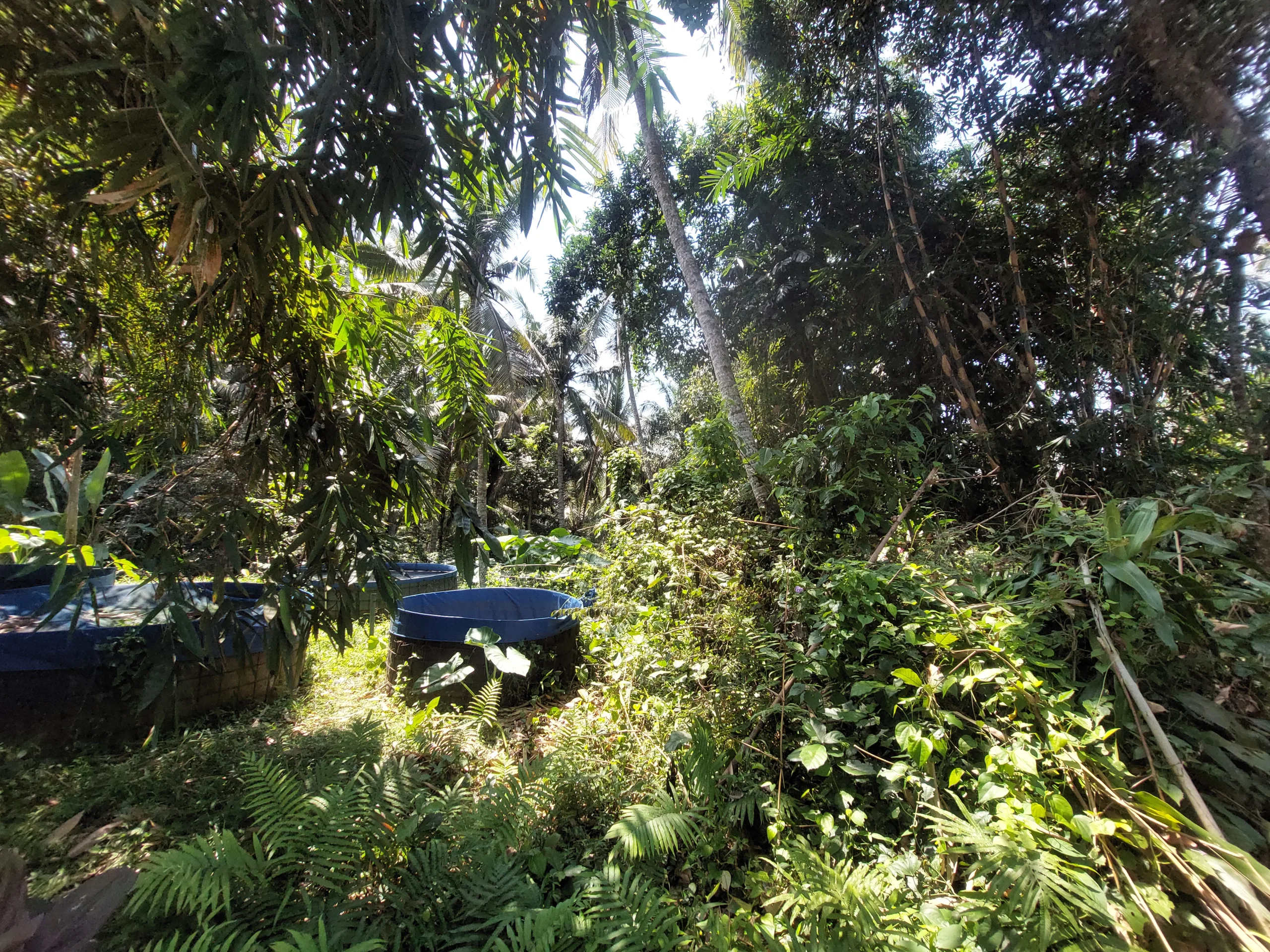 Tanah strategis di tabanan luas 34 are, view sungai